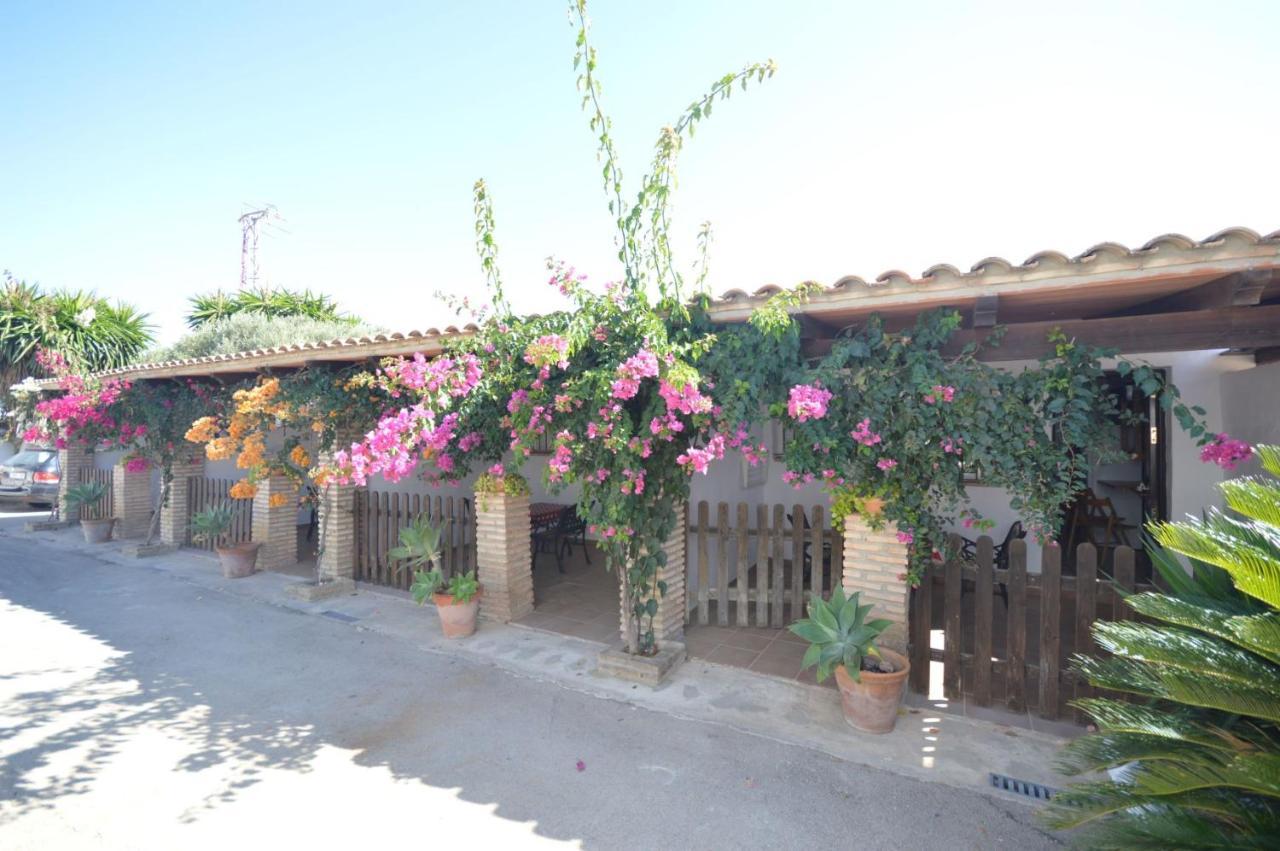 Estudios Con Piscina Compartida En Conil. 加的斯 外观 照片